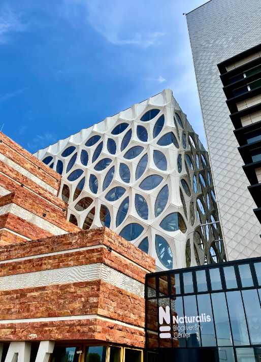 Een gebouw met een bakstenen gevel en een blauwe lucht.